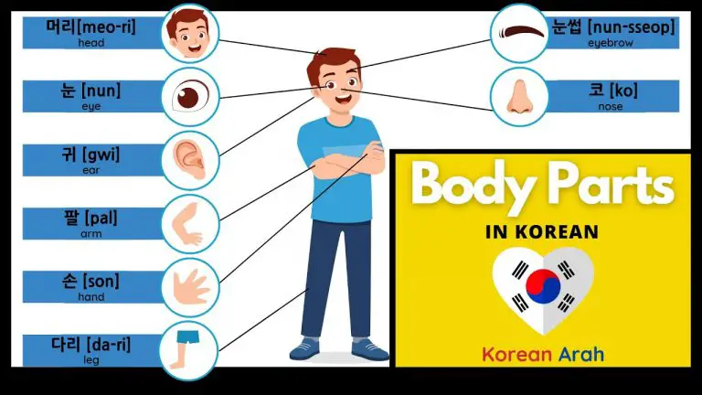 Body Parts In Korean – KoreanArah